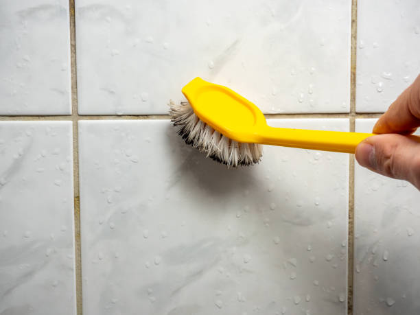 Best Attic Mold Removal  in Rocky Point, NY